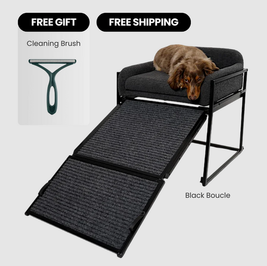 Comfortable Pet Chair for Dogs – Veterinarian-Approved Support and Relaxation 🐾